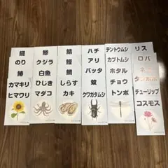 2026年最新】フラッシュカード ベビーパークの人気アイテム - メルカリ