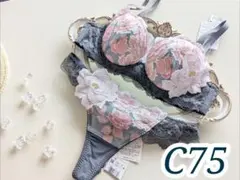 2026年最新】サルート日本の花嫁の人気アイテム - メルカリ