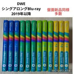 2026年最新】ディズニー英語システム シングアロング blu-rayの人気