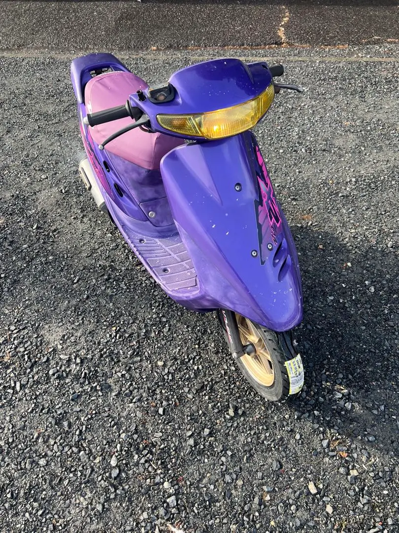 2026年最新】カメレオンファクトリー zxの人気アイテム - メルカリ