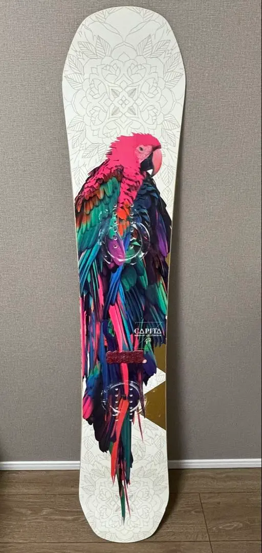 2026年最新】capita birds of a featherの人気アイテム - メルカリ