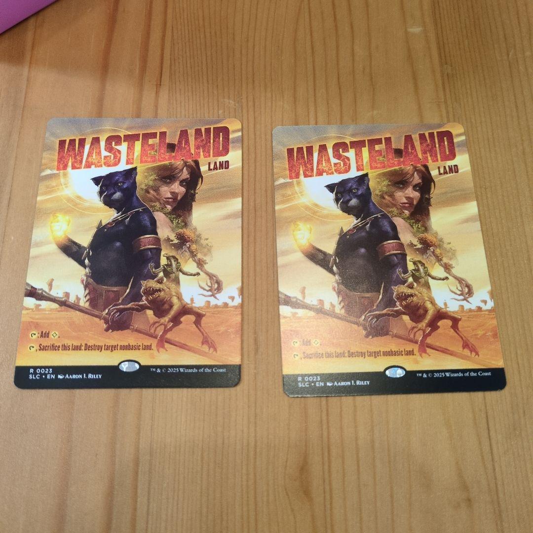 不毛の大地　2枚　ノーマル　secret lair wasteland 不毛の大地 2枚 ノーマル secret lair wasteland 115)《不毛の大地