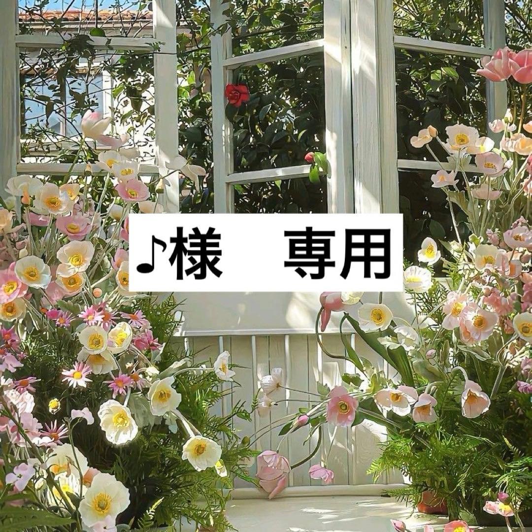 クリーム 2024年 2/15 発売】ASICS GEL-NIMBUS 9 “Cream/Black” (アシックス