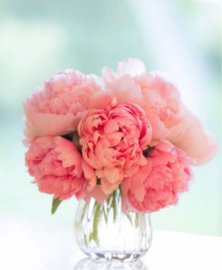 こずのネイビーL Loro Piana Fabric】365 通年 3ピーススーツ