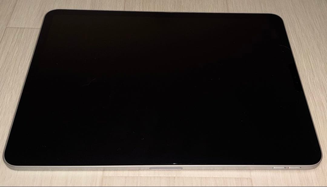 iPad Pro 11インチ　第2世代　256GB本体➕Apple Pencil 11インチiPad Pro Wi‑Fiモデル 256GB（標準ガラス搭載）- シルバーを