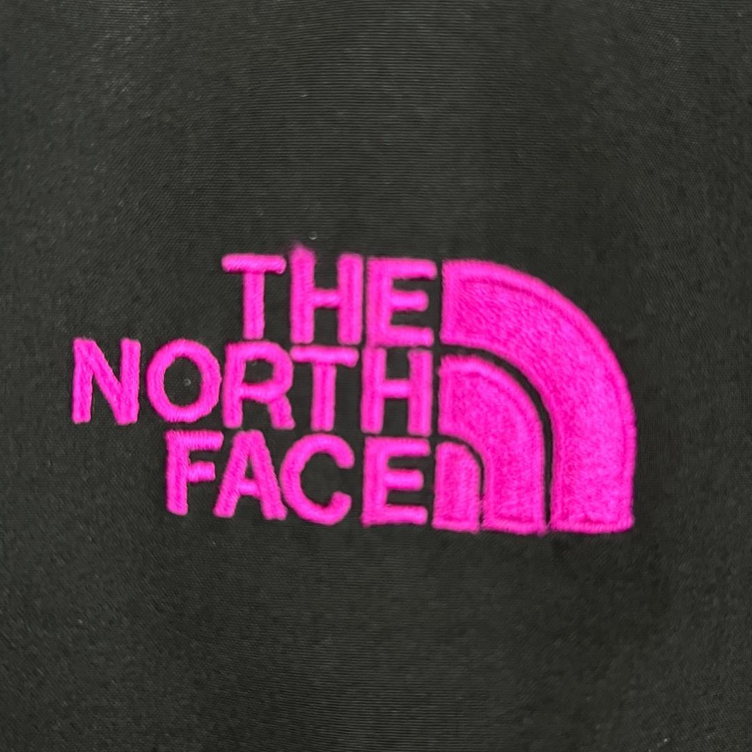 《美品》ザノースフェイス マウンテンジャケット ゴアテックス レディース (L)