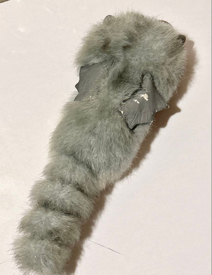 アートドール 猫 ぬいぐるみ 海外作家様作品 - メルカリ