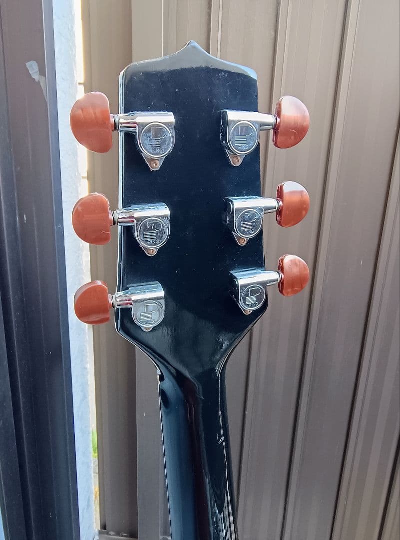 D*n様 超美品 Takamine 100シリーズ(？)BK 型番不明 PU付き