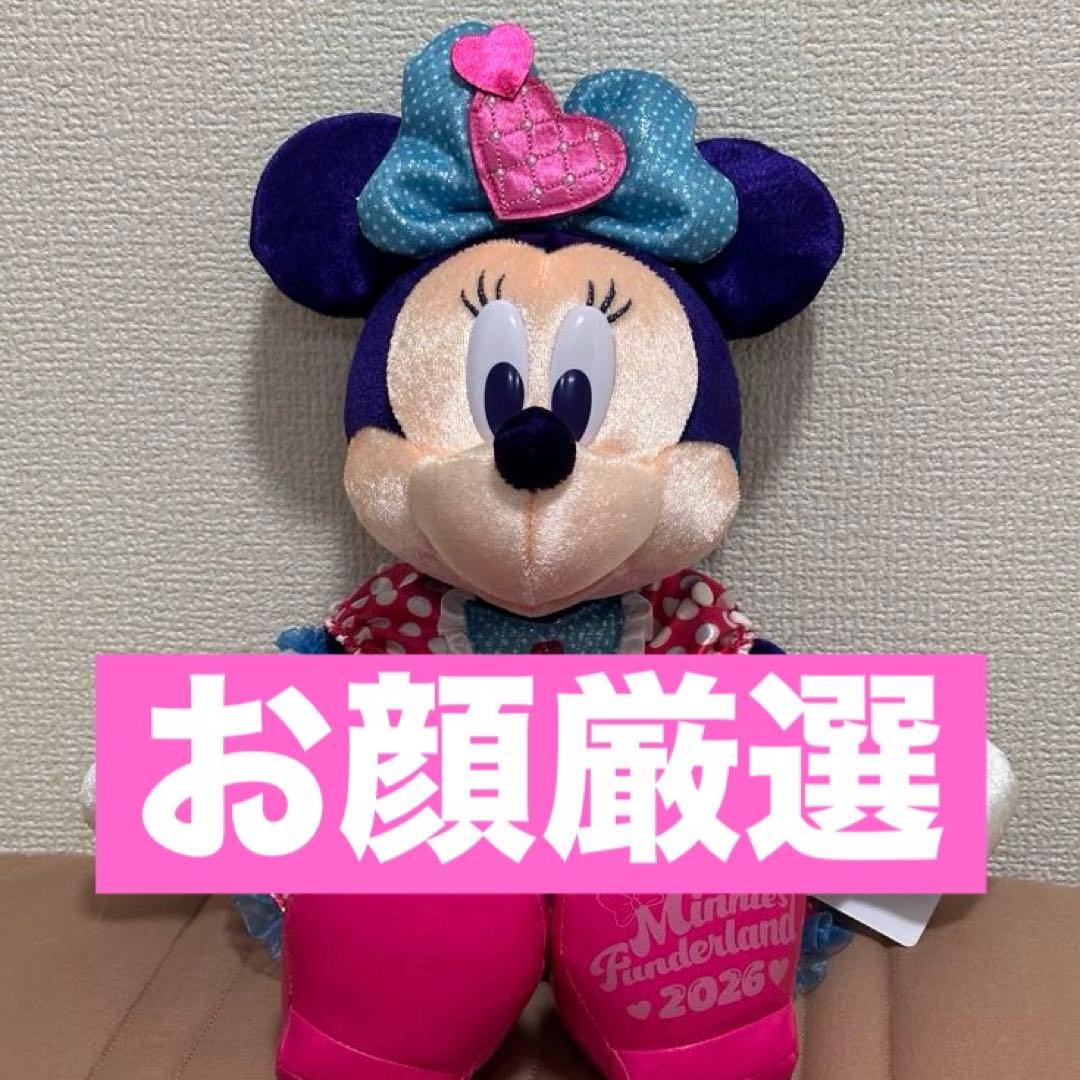 パルパルーザ　ミニーのファンダーランド　ぬいぐるみ　2026 ディズニー パルパルーザ 2026 ミニーのファンダーランド ミニー