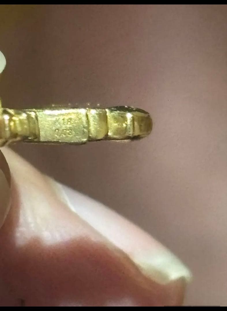 シークワーサーYUKIZAKI （ユキザキ）REGALIA （レガリア）