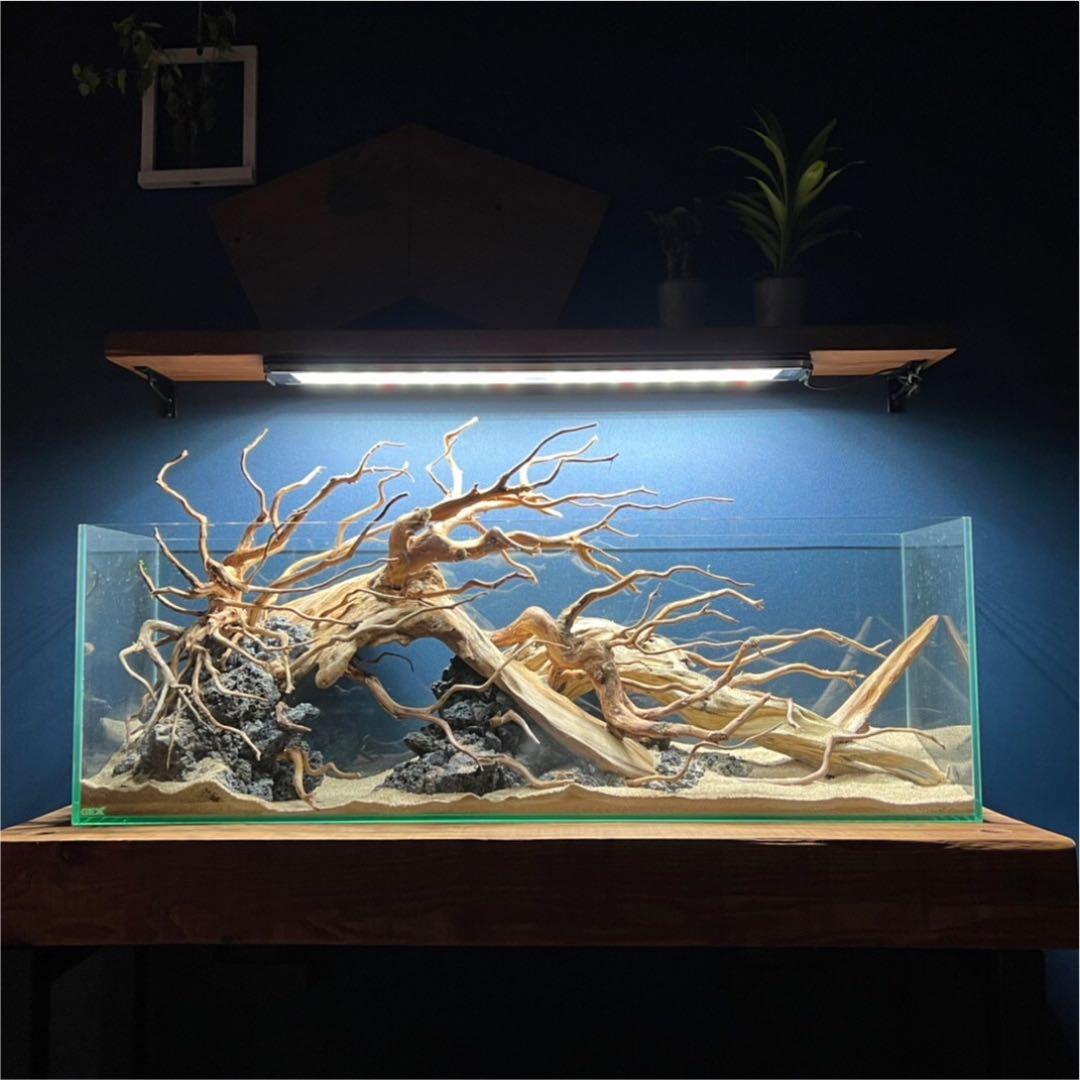 GEX90cmスリム水槽、流木レイアウトセット - メルカリ