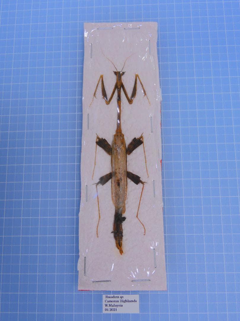 kawara198様 リクエスト 4点 まとめ商品 fuku様 リクエスト 4点 まとめ商品 - メルカリ