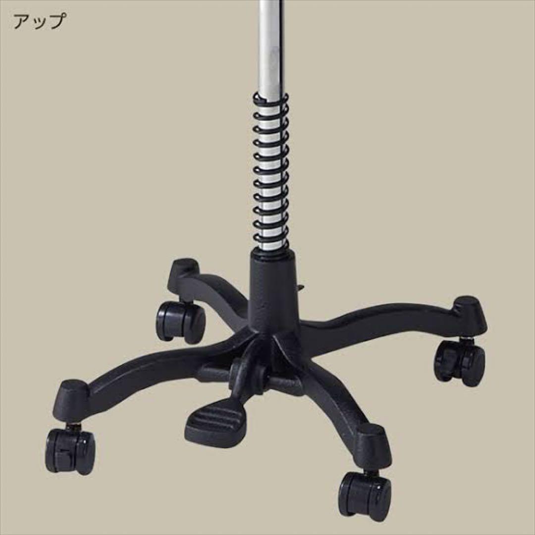 レディーストルソー カツラギ張