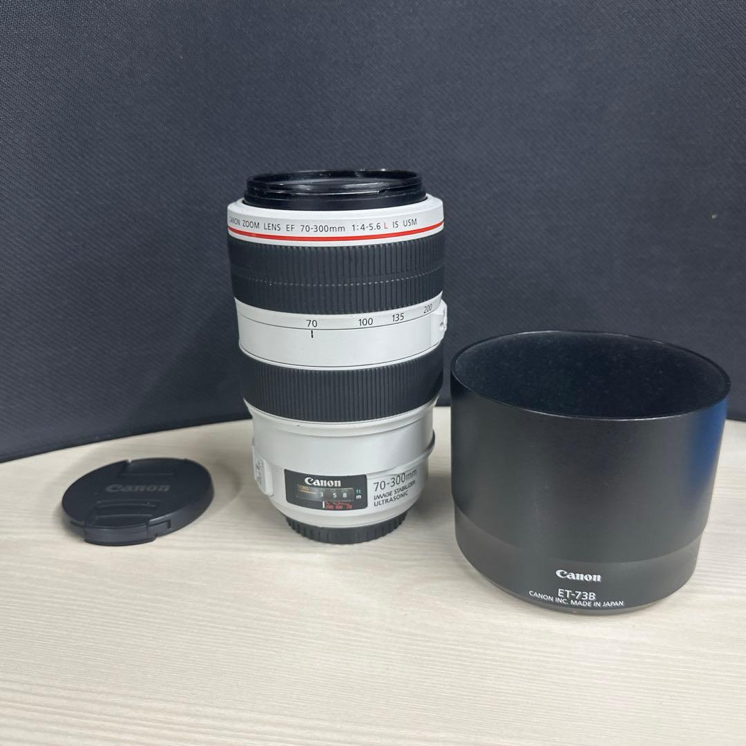 Canon EF70-300mm F4-5.6L IS USM 動作良好 伊達淳一のレンズが欲しいッ！：キヤノンEF 70-300mm F4-5.6 L IS USM