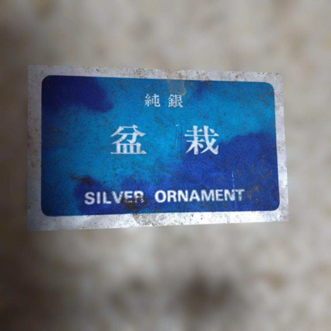 h*中様 純銀製 光則作 盆栽 2号「松」ガラスケース・紙箱付き - メルカリ