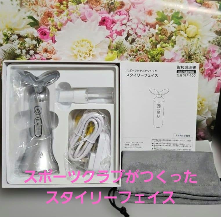 ルネサンス開発 StyllyFace EMS 美顔器　スタイリーフェイス dinos（ディノス） スタイリーフェイス 美容 美顔器 EMS フェイス