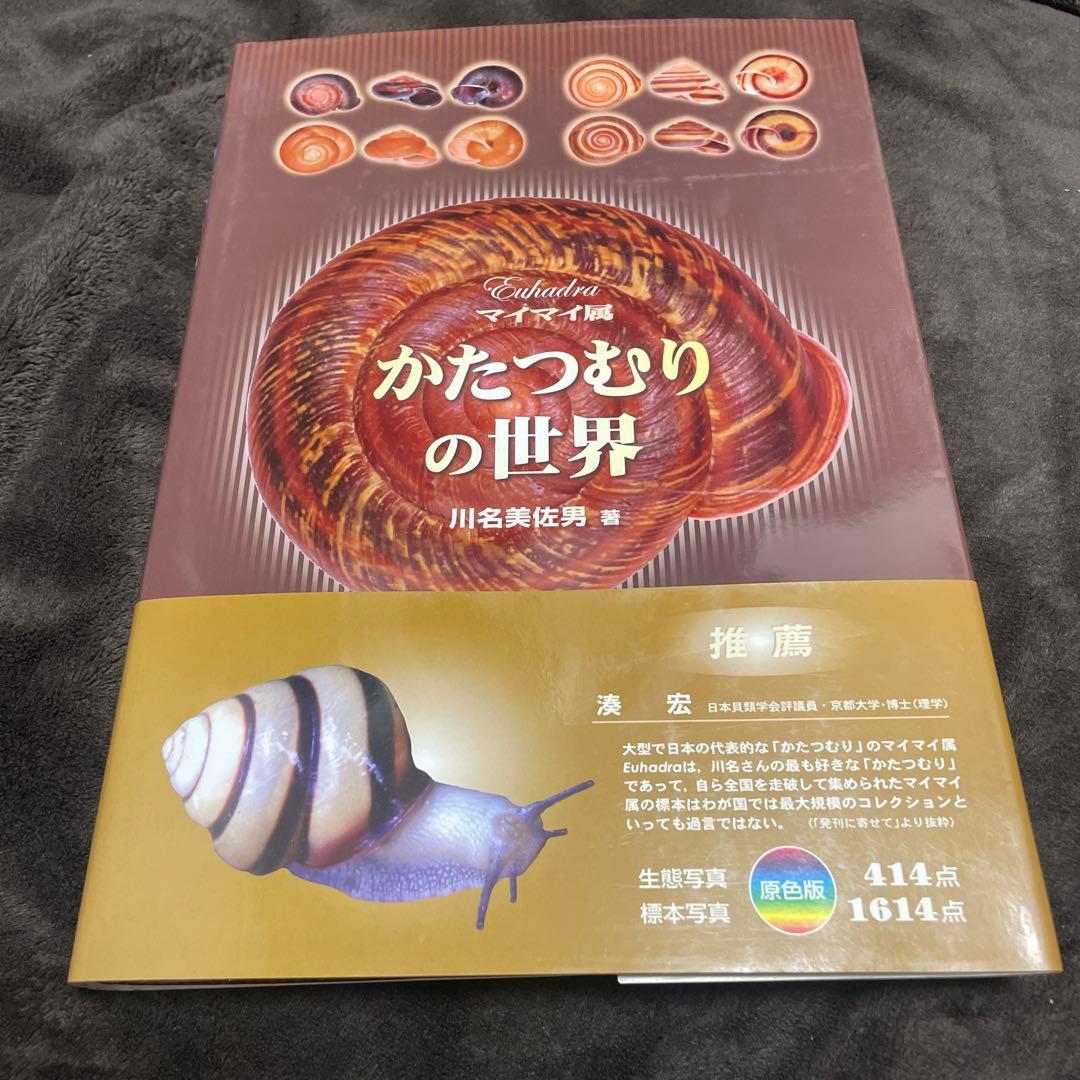 かたつむりの世界 マイマイ属 マイマイ属 かたつむりの世界 川名美佐男 - メルカリ