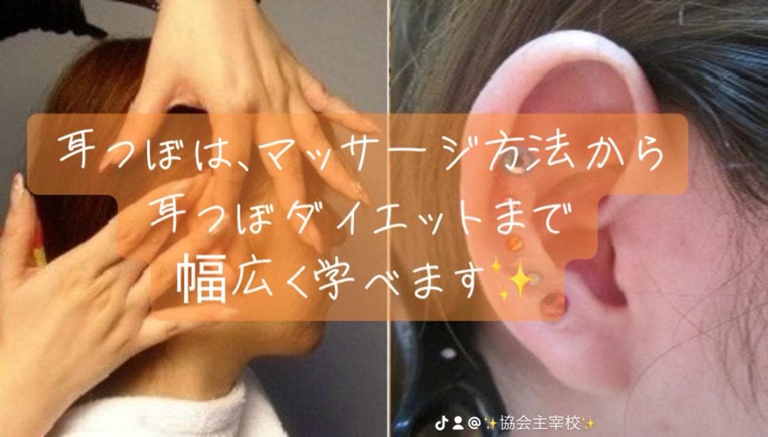 2資格／耳つぼダイエットインストラクター&耳つぼ認定講師【 認定証2