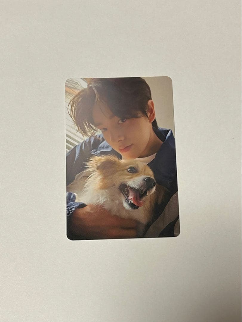 ENHYPEN 2025 アンケートトレカ ジェイク ENHYPEN 2025アンケートトレカ ジェイク ENHYPEN アンケートトレカ2025