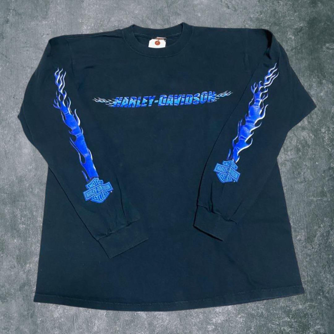 ブルーフレイム ロンT 袖プリント ハーレーダビッドソン ファイヤー