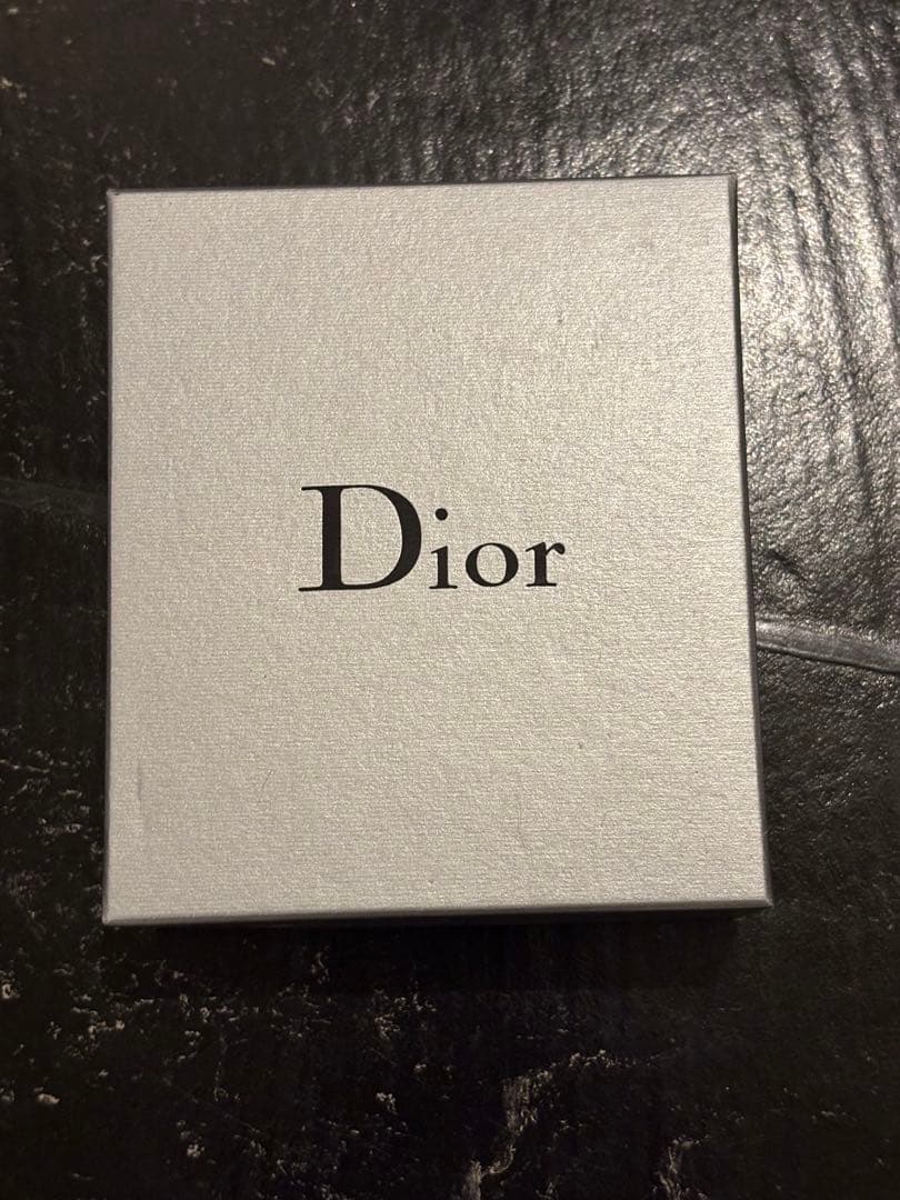 ディオールオム エディスリマン 2006AW シューティングスターピン