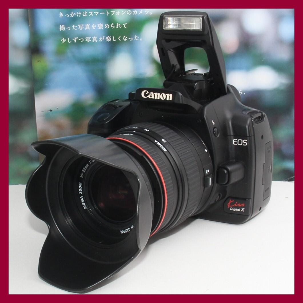 ❤️一眼レフデビューに最適の人気機種❤️Canon EOS kiss X❤️ プロ厳選・初心者におすすめのデジタル一眼レフカメラを実写で比較