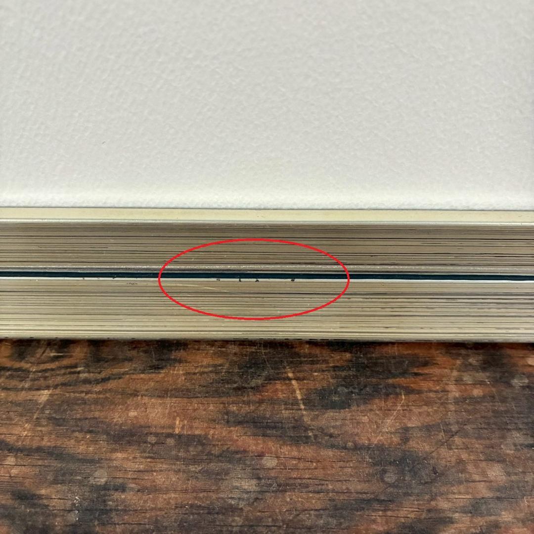 美品 ロバート・ハインデル「ドローイング フォー ダーシー・バッセル