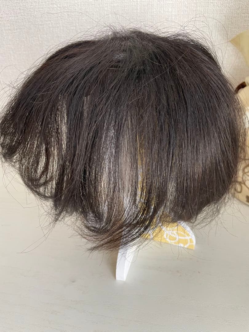 ジュリアオージェ ウィッグ - メルカリ