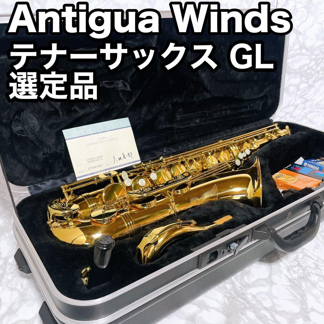 彦坂眞一郎氏 選定品　Antigua Winds テナーサックスgl SELMER（セルマー） Selmer Paris 【彦坂眞一郎氏選定品】アルト