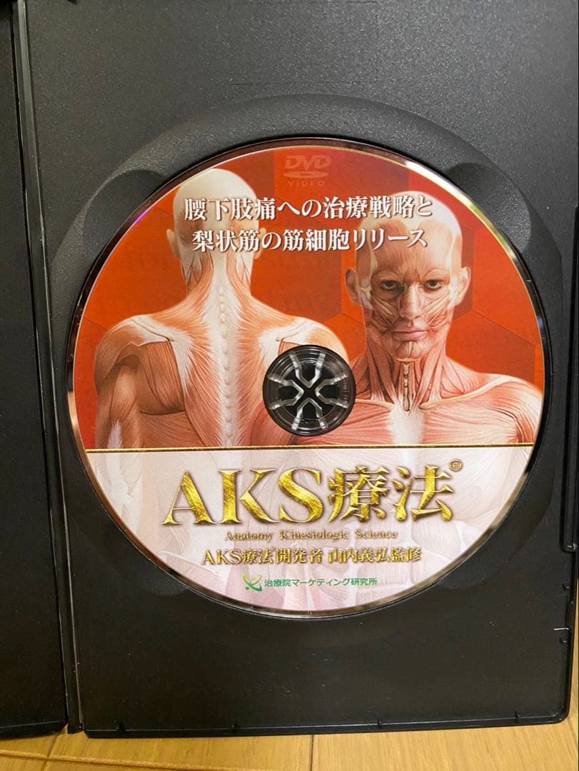 山内義弘先生のAKS療法(R) DVD7枚 シンデレラリッチセラピスト養成講座
