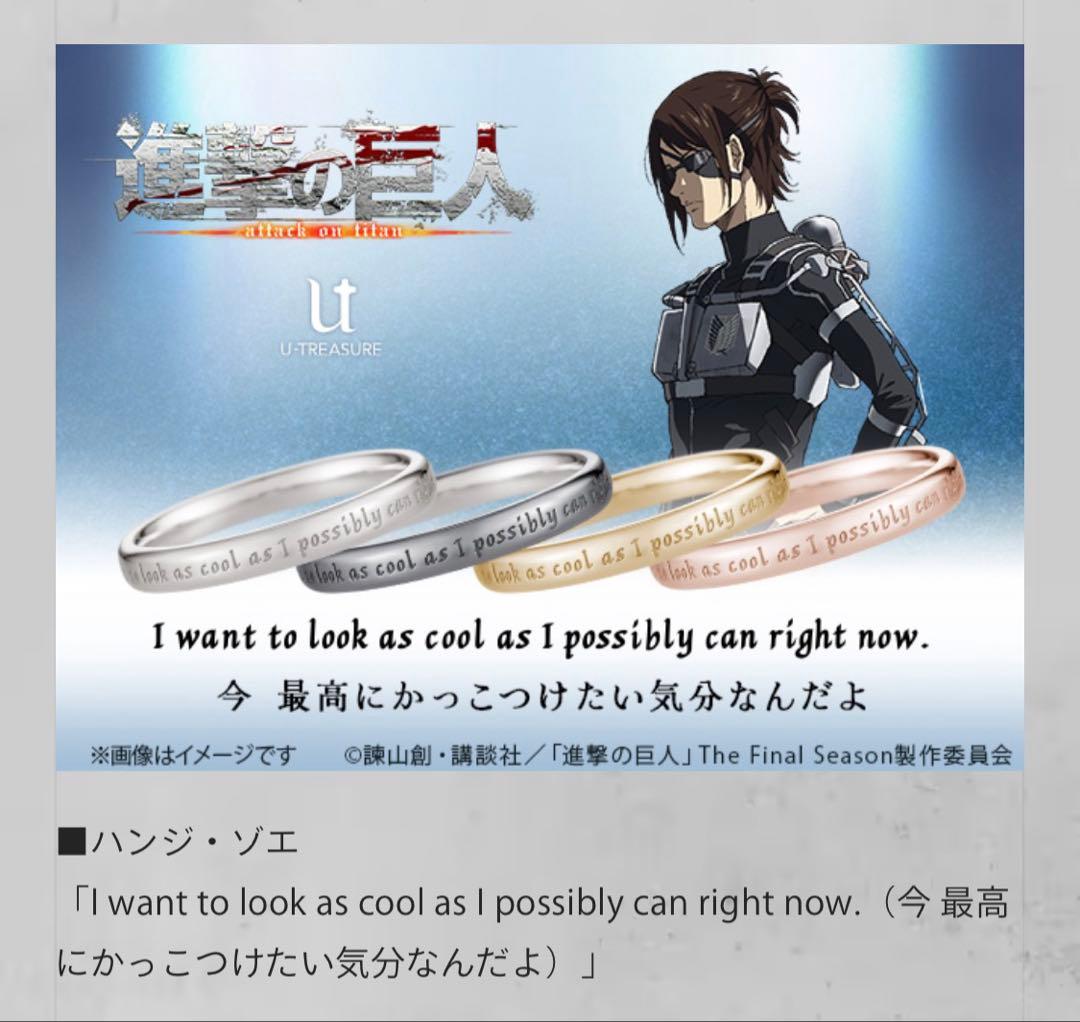 進撃の巨人　メッセージリング　ハンジ・ゾエ19号 進撃の巨人】メッセージリング ハンジ シルバー（ブラックコーティング