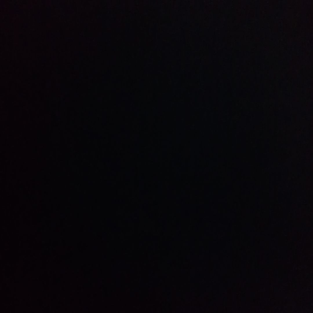 ララパームホイール2本きいこ様 ララパームホイール2本きいこ様 LaLa Palm CUP2 ムーヴキャンバス