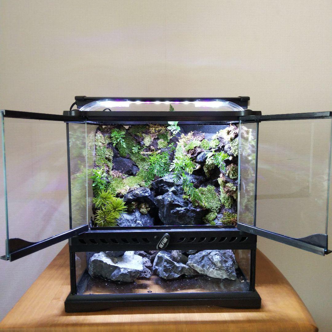 【受注生産】グラステラリウム3030　イモリウム　苔テラリウム　アクアテラリウム 受注生産】イモリウムグラステラリウム3030 苔テラリウム アクア