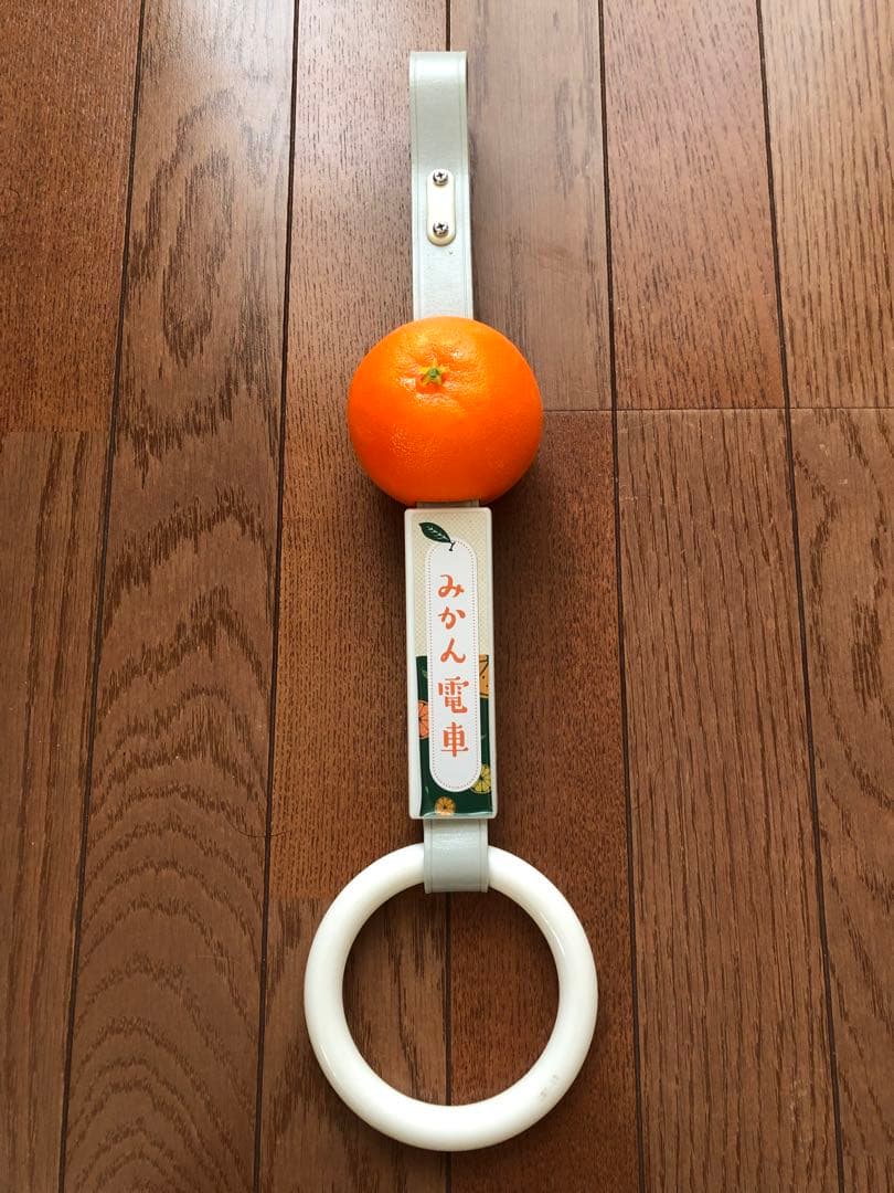 伊予鉄道　吊革 みかん吊り革」6月1日から販売 伊予鉄グループ ｜愛媛新聞ONLINE