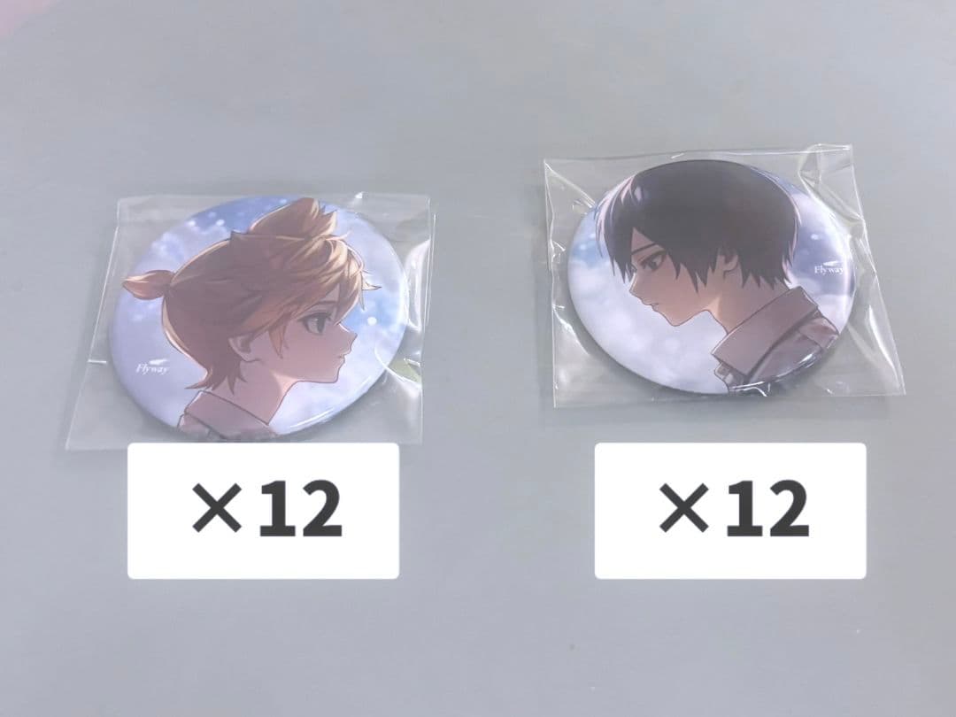 Flyway　缶バッジ24点セット　鏡音リン　KAITO　halyosy Flyway Halyosyアクリルスタンド 鏡音レン KAITO プロセカ マジカル