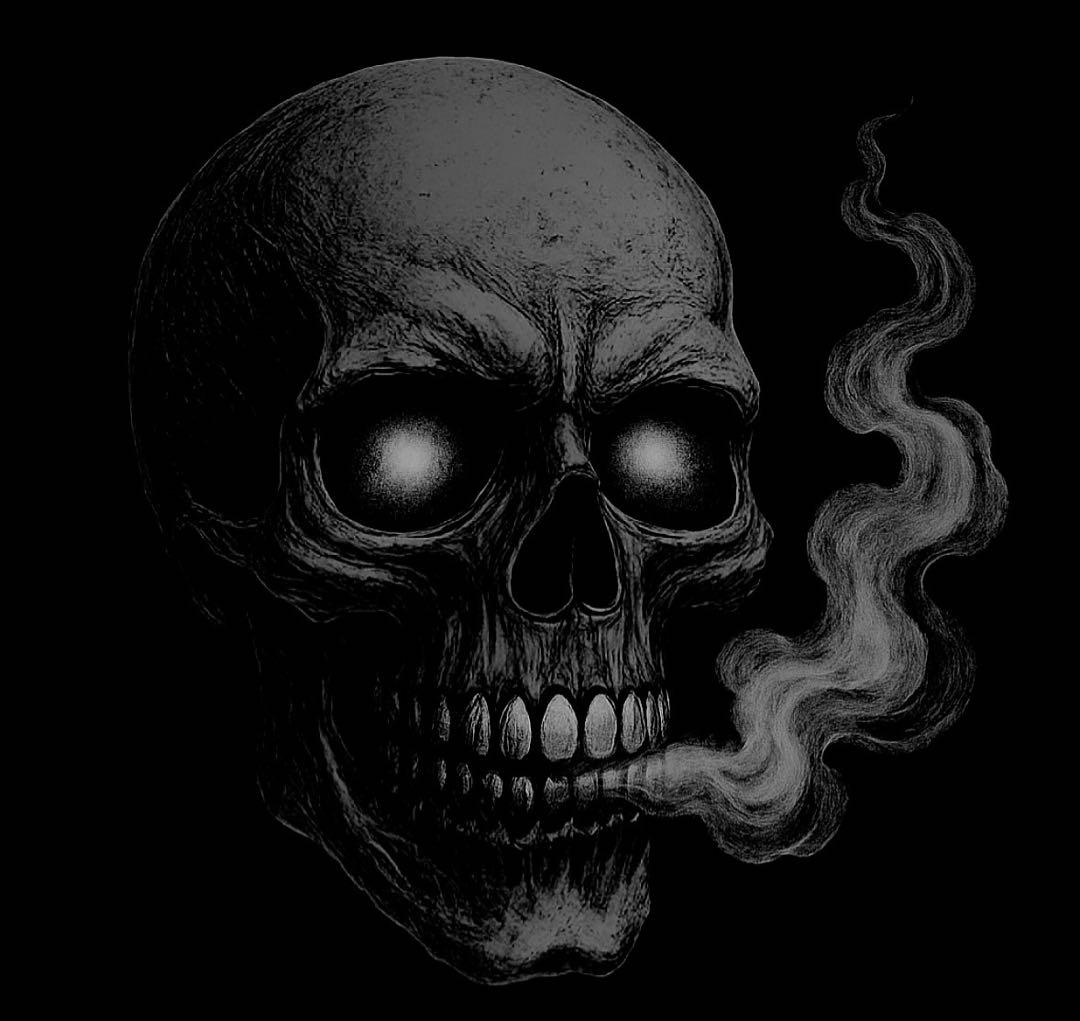 ロンT ゴリラ Lien.×ゴリラ ロンT