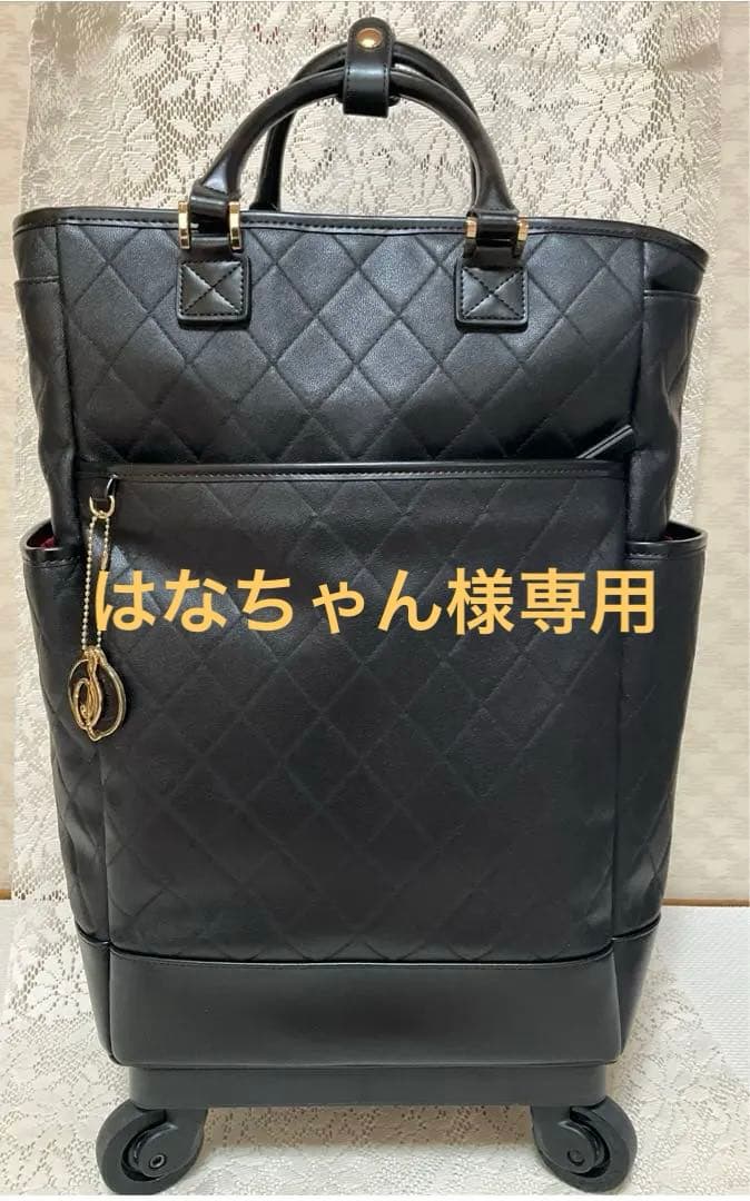 【はなちゃん】SWANY キャリーバッグ　Lサイズ SWANY（スワニー） キャリーバッグ 座面付き プレーネ L21 Lサイズ 大