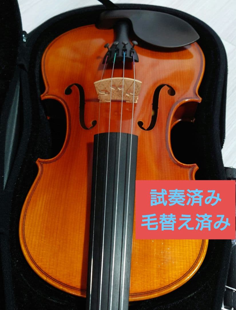 Eastman Strings VL80 バイオリン 4/4 ケース、弓、松脂付 Eastman Strings Violin Model VL80 with Case and Bow (New) - Star