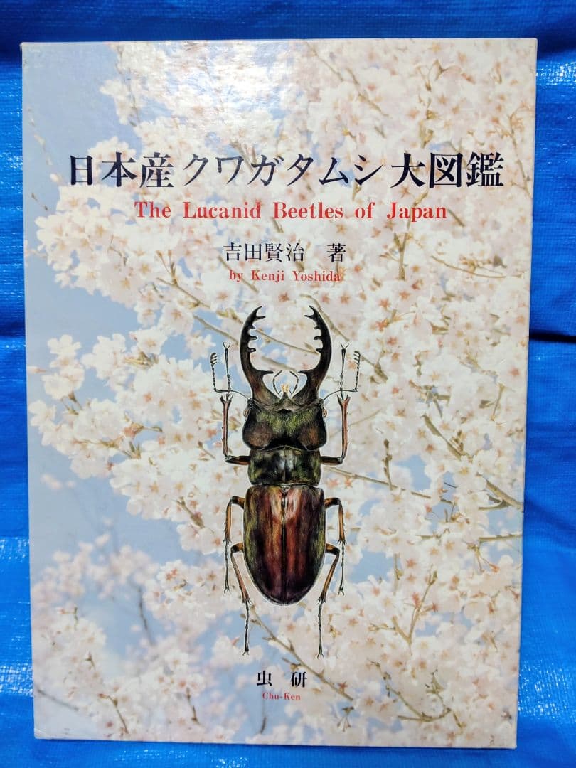 日本産クワガタムシ大図鑑　吉田賢治著　虫研 Amazon.co.jp: 日本産クワガタムシ大図鑑 The Lucanid Beetles of Ja