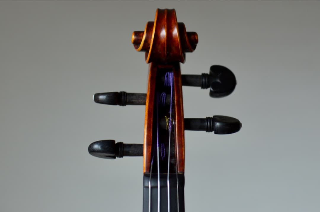 超美品】Gliga CRISTIAN バイオリン 4/4 - メルカリ