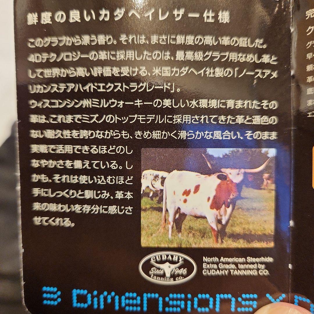 希少】ミズノプロ 軟式 ノースアメリカンステアハイド サイズ9