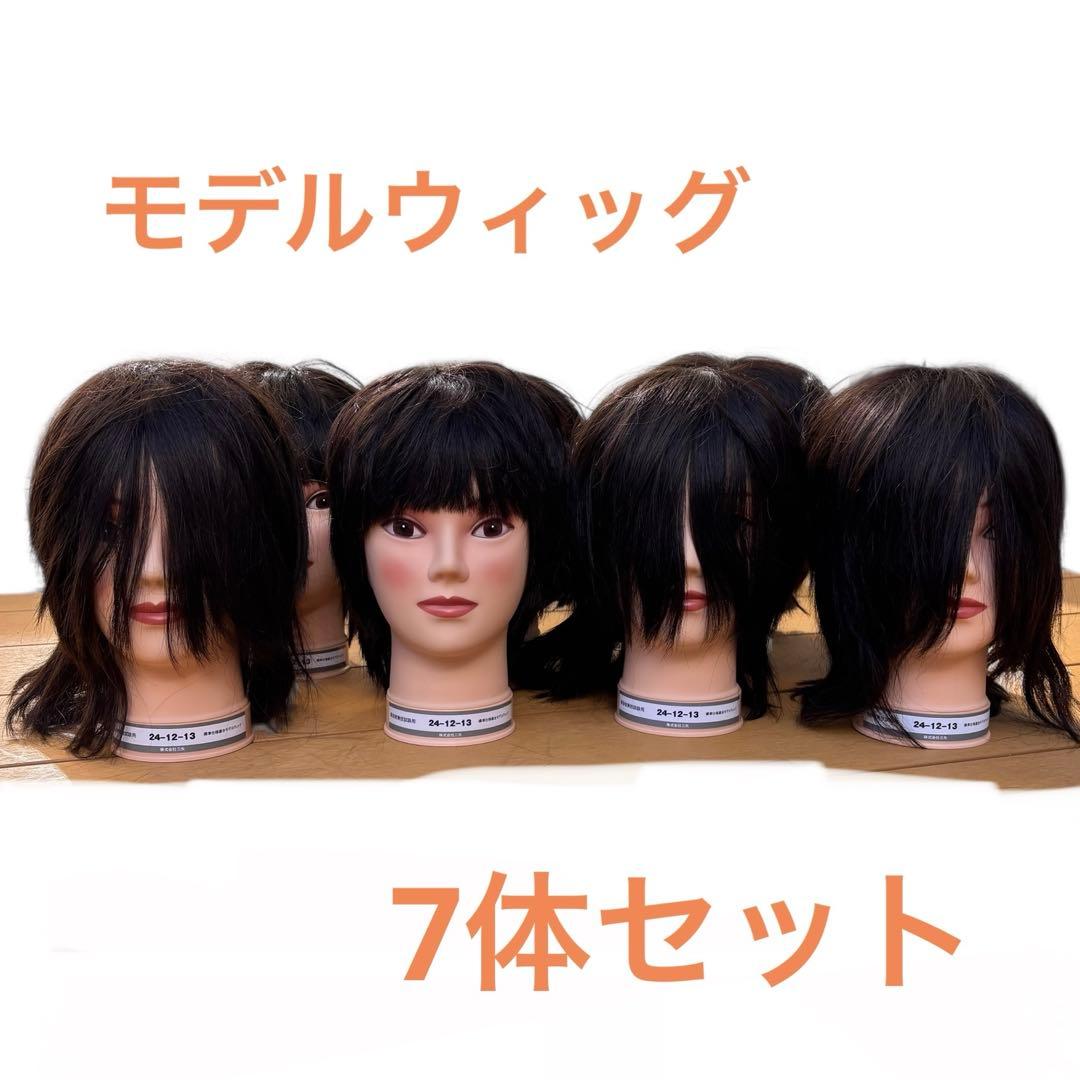 美容師 理容師 カットウィッグ 国家試験用 7体セット ユーロプレステージ 国家試験美容師本番用 カットウィッグ 24-12-23 3