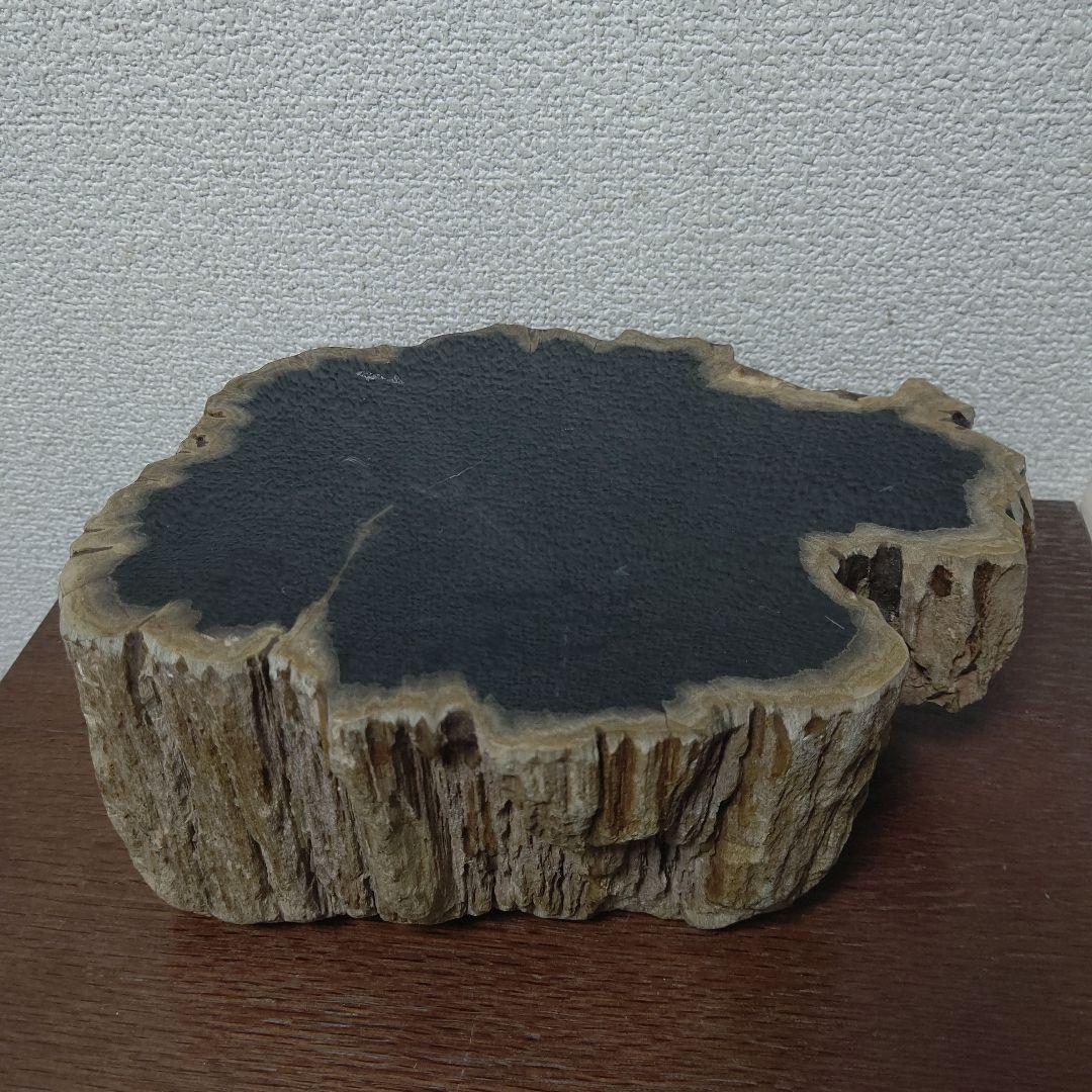 値下げ珪化木の置物　検木の化石　オブジェクトインテリアペトリファイドウッド OAK Petrified Wood 日本初の珪化木インテリア専門店 Tachikawa, Tokyo