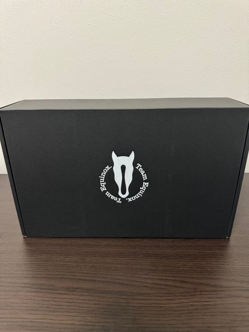 Equinox ノベルティグッズセット　ラスト1品 イクイノックス顕彰馬選定記念 アクリルキーホルダー | HORSEGOODSnet