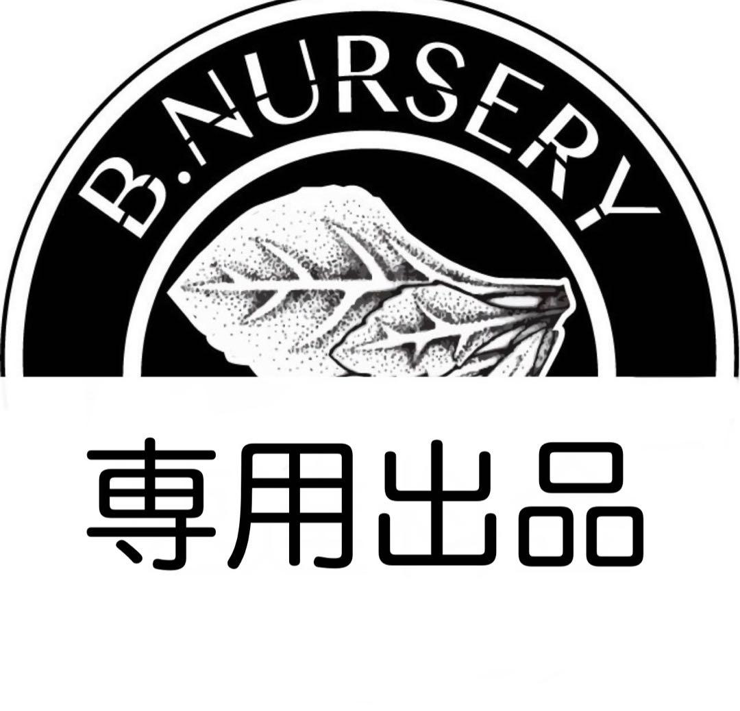 専用③ Qi35 ドライバー SPEEDER NX VIOLET 40／50／60／70(ドライバー（単品