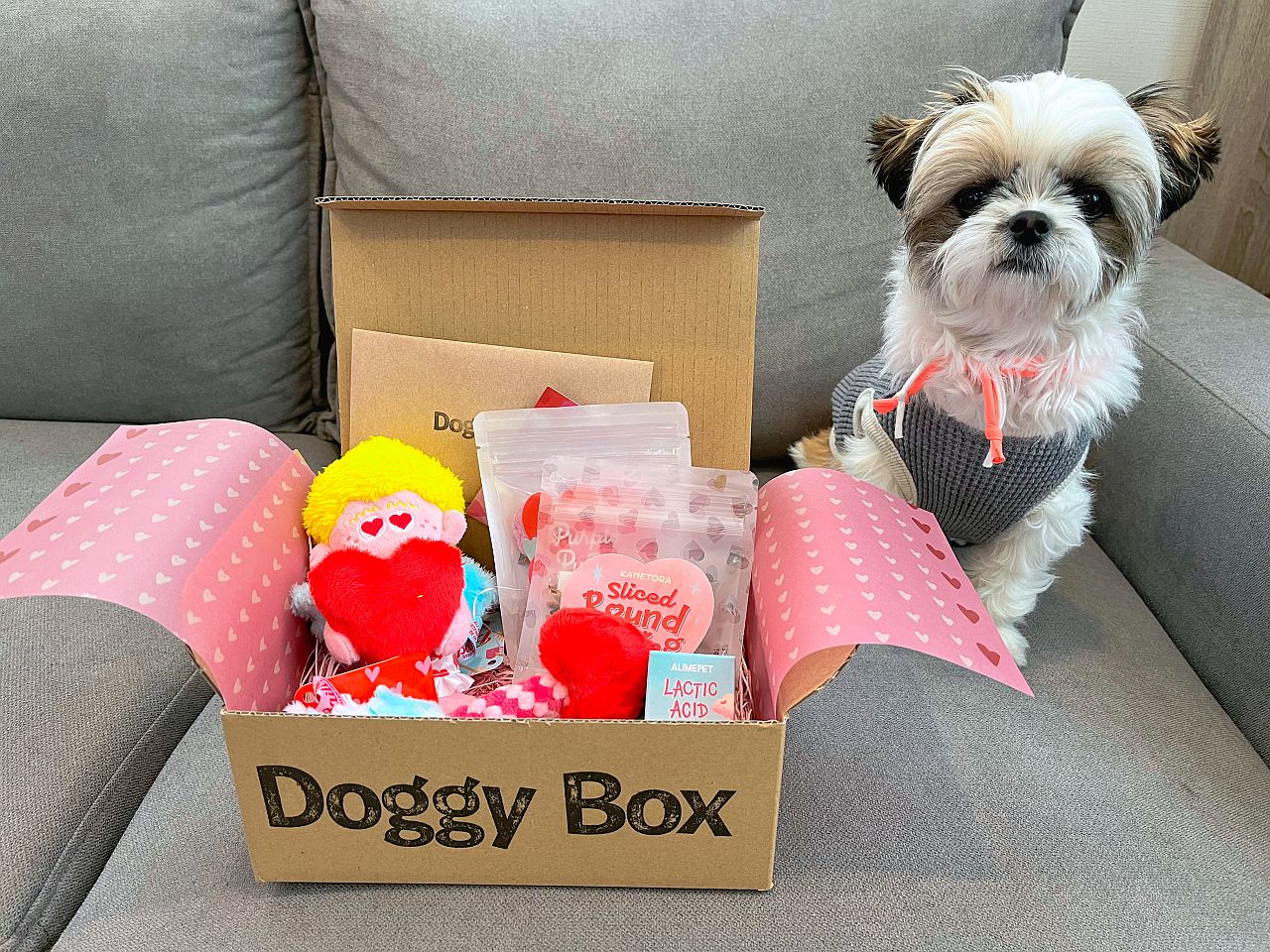 ワンちゃんのためのワクワク定期便「Doggy Box ( ドギーボックス