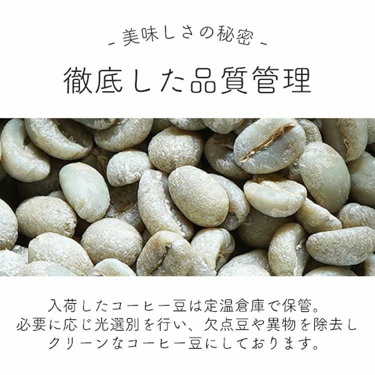 2/25～3/24 クーポン有！】スペシャルティコーヒー豆・粉ホンジュラス